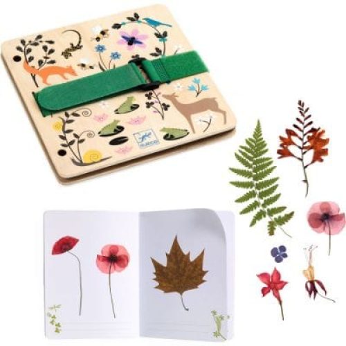 presse-et-herbier-petit-botaniste-diy-2