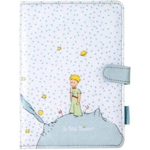 protege-carnet-de-sante-petit-prince