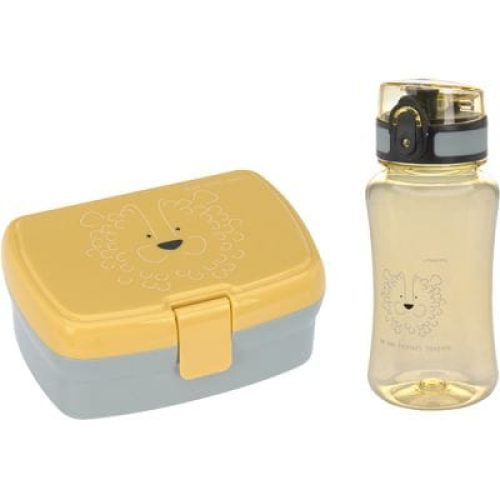 set-lunch-box-about-friends-lion