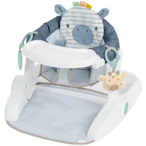 siege-d-apprentissage-casi-le-zebre