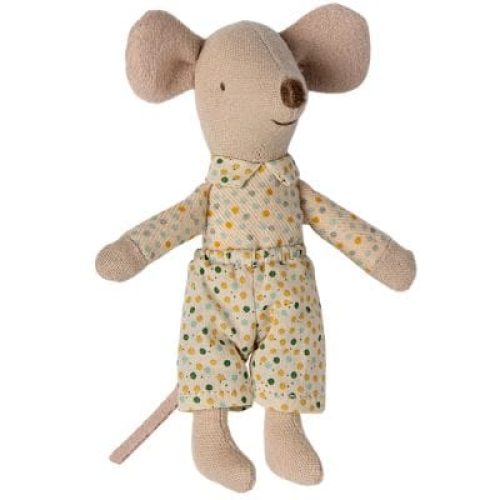 souris-petit-frere-dans-sa-boite-assortie-3