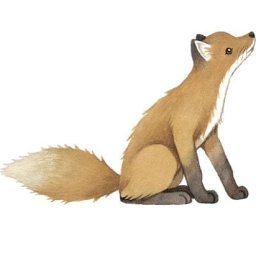 sticker-renard-forest