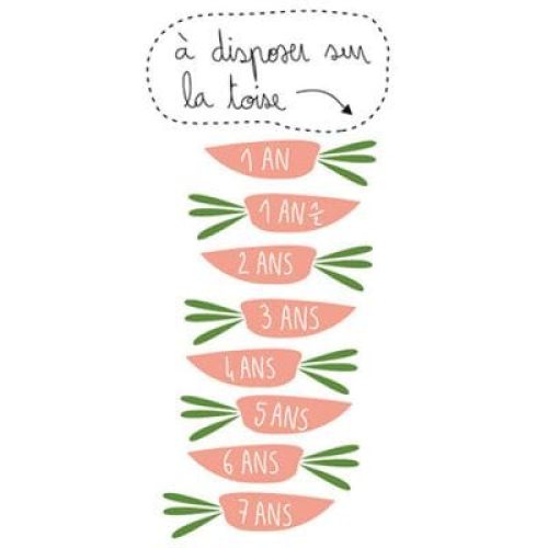 toise-lapins-2