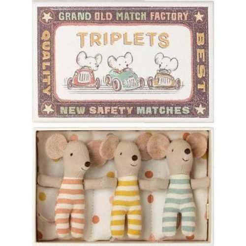 triples-bebes-souris-dans-leur-boite-assortie